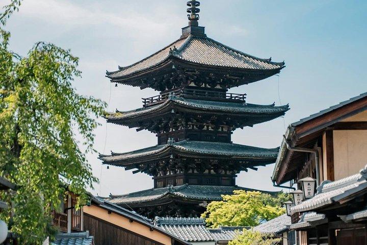 Kyoto & Nara customizeable Luxury Private Day Tour Driver Guide