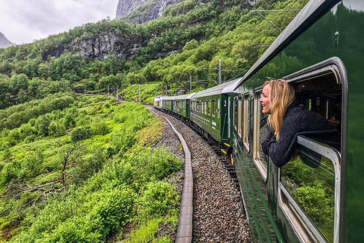Small Group Nærøyfjord Cruise, Vikings and Flåm Railway Day Tour