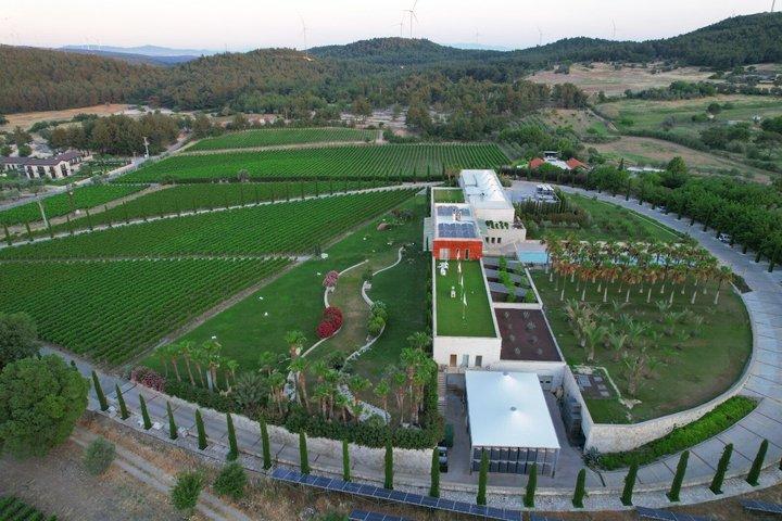 Urla Wine & Olive Oil Tasting Tour – Private Day Trip from Izmir