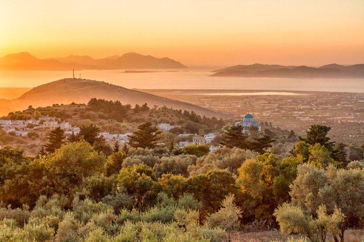 Greek Night Dinner and Dance Experience in Kos