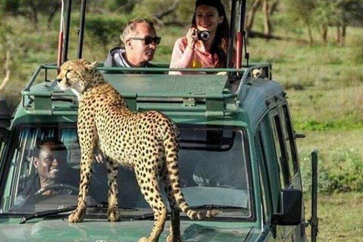 5-Day Epic Tanzania Safari Tour