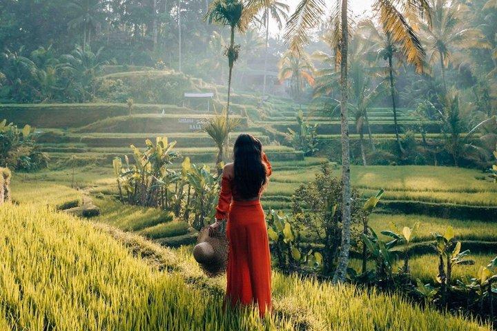Ubud Tour Monkey Forest, Water Temple, Waterfall, Rice Terrace