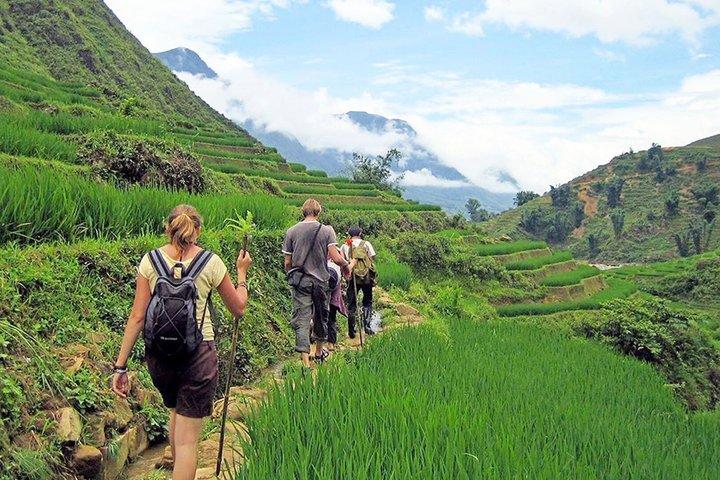 Sapa Rice Terrace Trek and Traditional Hmong Batik Experience