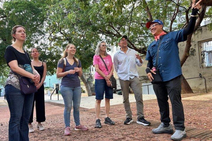 Old San Juan Guided Walking Tour with Local Expert