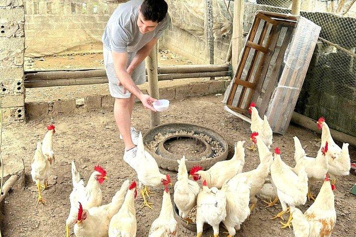 From Hanoi/Ninh Binh:Pu Luong Trekking Authentic Village Day Trip