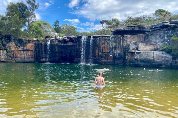 Sydney: Royal National Park Coast & Rainforest, Koalas & Lunch