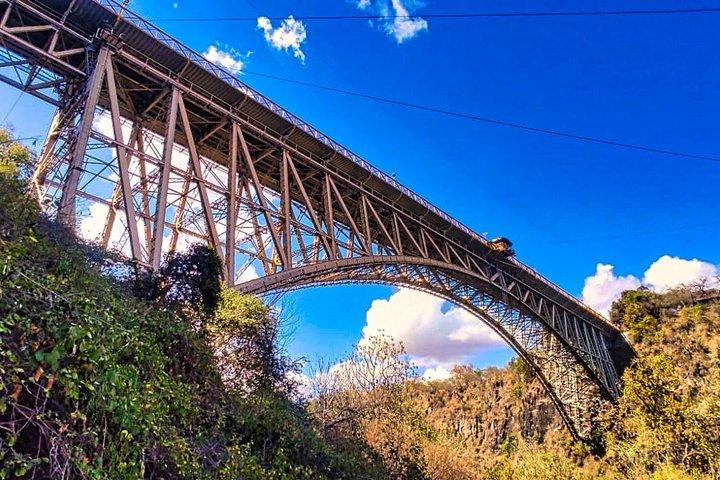 Victoria Falls Gorge Guided Hike with Zambezi River View
