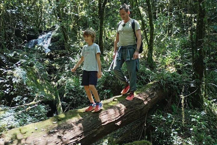 Kilimanjaro Day Hike