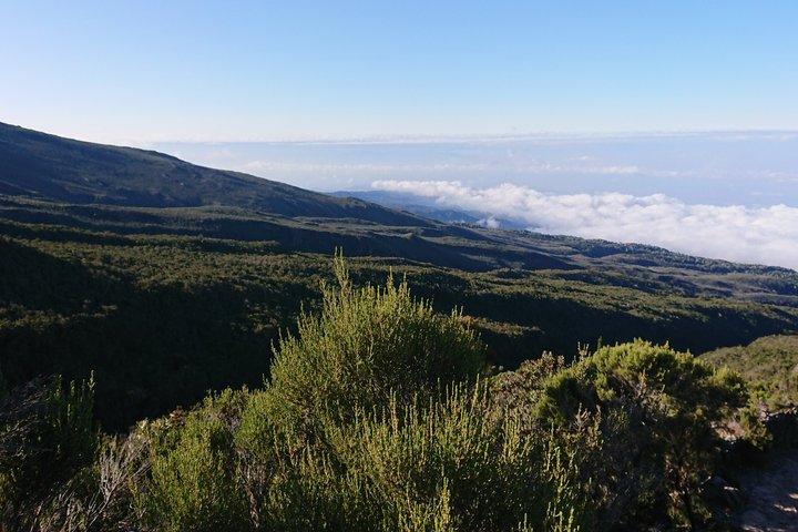 7 Days Adventure at Kilimanjaro Climb Machame Route