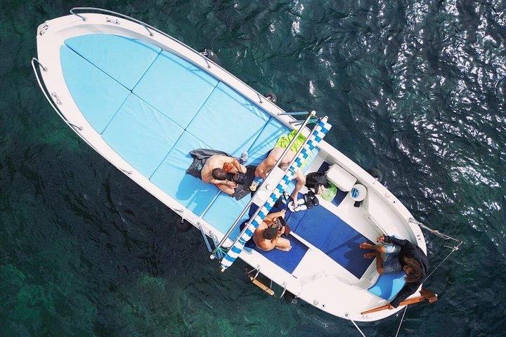 Tour of the Faraglioni of Capri and the Highlights of the island