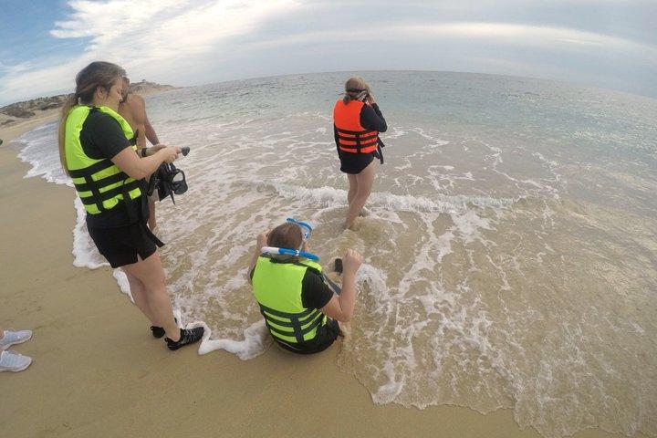 Private Snorkeling Tour and Beach Day