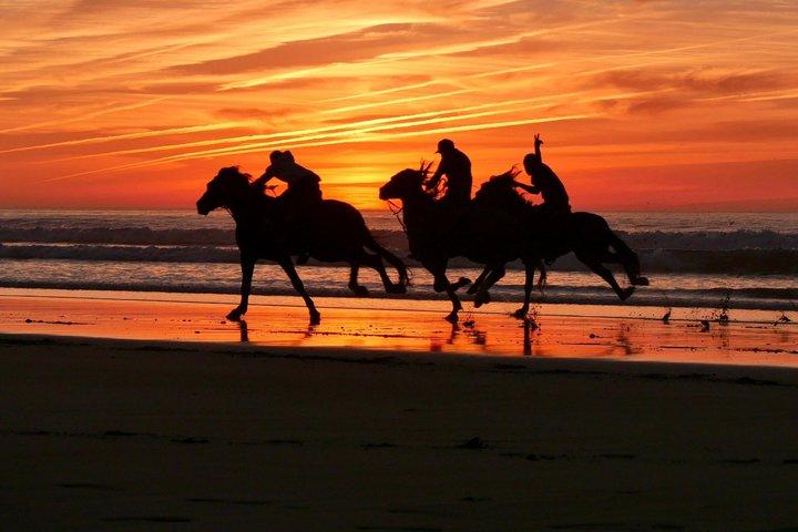 Sunset Horse Riding in Essaouira: Desert & Ocean