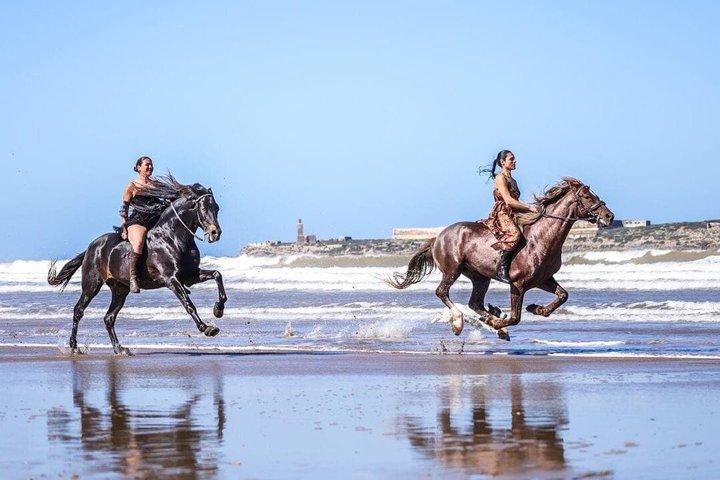 Sunset Horse Riding in Essaouira: Desert & Ocean