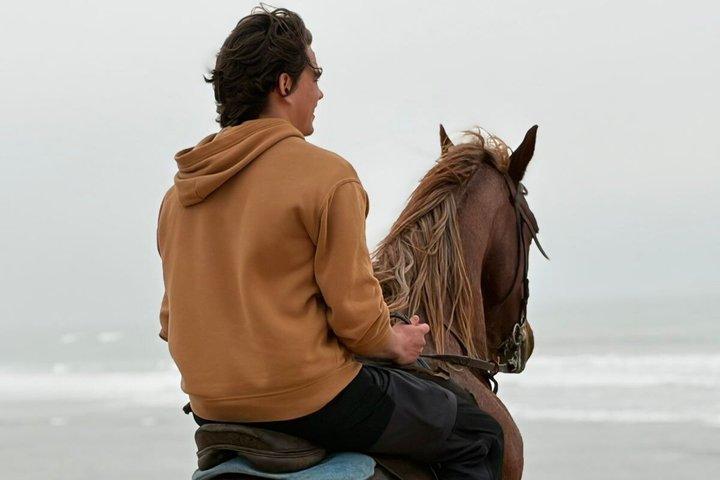Sunset Horse Riding in Essaouira: Desert & Ocean
