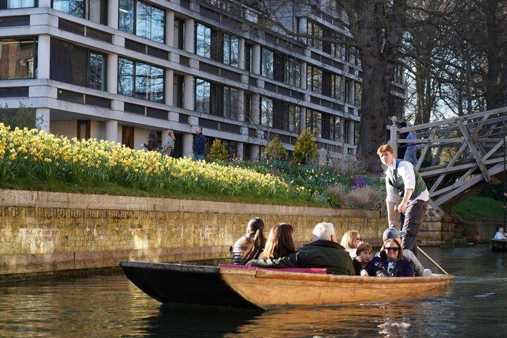 Cambridge Student-Led Shared Punting Tour (English or Chinese)