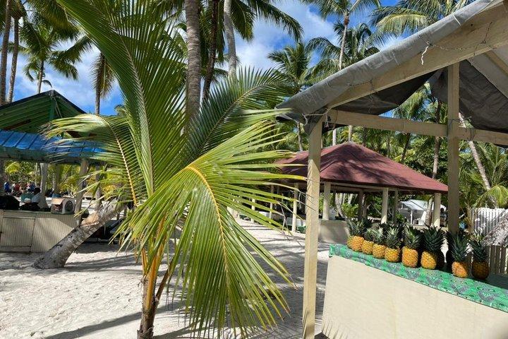 Saona Island: Catamaran, Buffet Lunch and Pick up Included