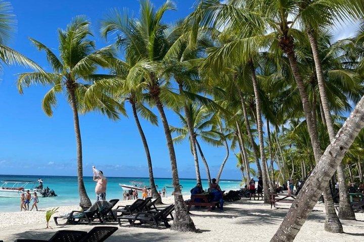 Saona Island: Catamaran, Buffet Lunch and Pick up Included