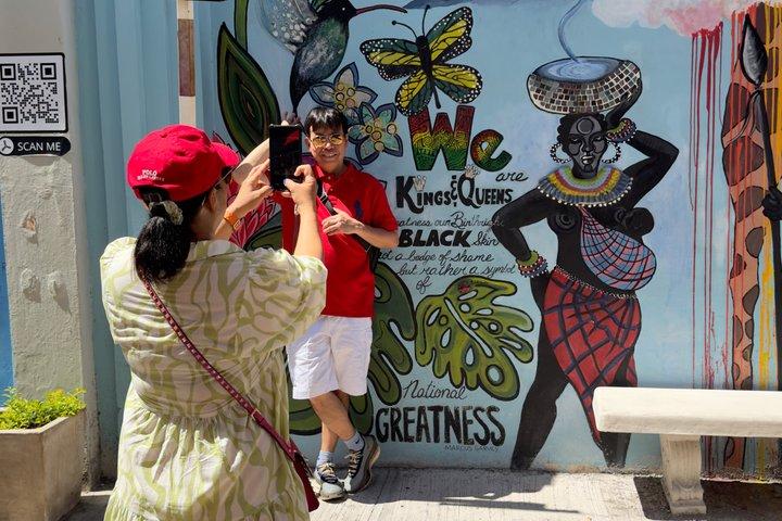 Jamaica Layover Tour from Kingston Airport: 7-9 hours City Tour