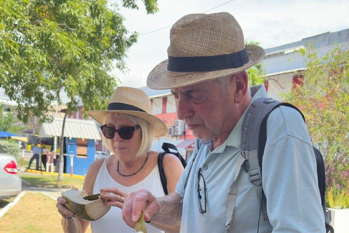 Jamaica Layover Tour from Kingston Airport: 7-9 hours City Tour