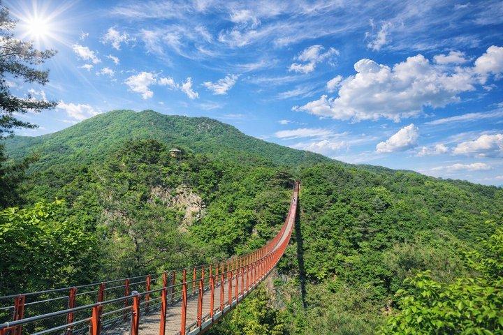 Small Group DMZ Highlight Tour MAX 10 with Suspension Bridge