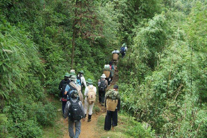 Fansipan Mount Trekking 1 Day