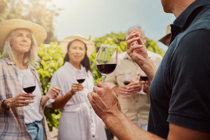 Cappadocia Fairy Chimneys Guided Tour with Local Wine Tasting