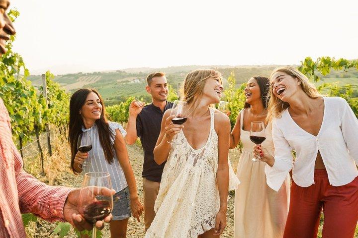 Cappadocia Fairy Chimneys Guided Tour with Local Wine Tasting