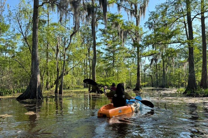 New Orleans Guided Kayak Swamp Tour