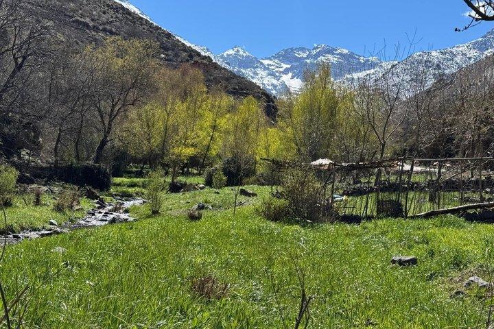 Marrakech: High Atlas, Imlil Valley and Waterfalls Tour