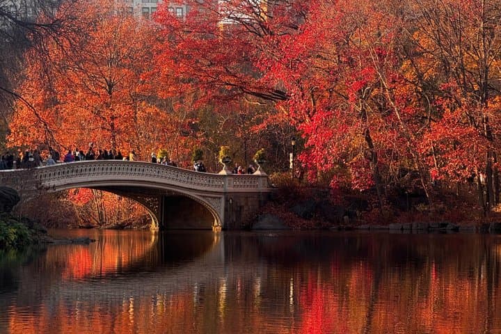 1 hour Discover Central Park Tour on Pedicab
