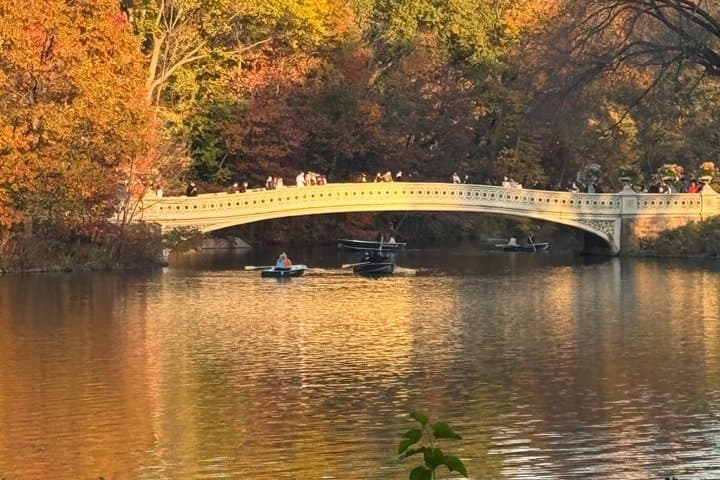 1 hour Discover Central Park Tour on Pedicab