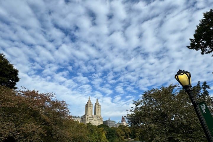1 hour Discover Central Park Tour on Pedicab