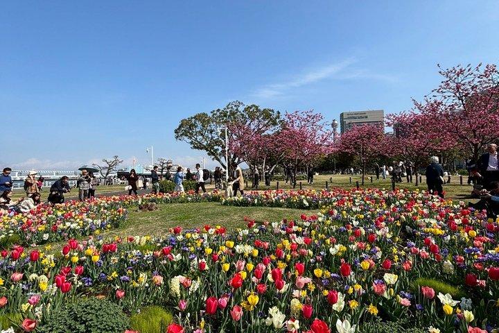 Yokohama Highlights Half-Day Walking Private Tour :