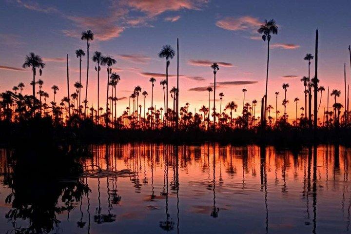 From Puerto Maldonado Piranha Fishing Adventure at Yacumama Lake