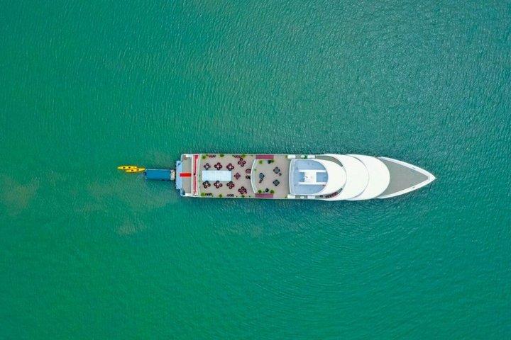 Luxury Ha Long Bay Escape with Sea Octopus Day Cruise