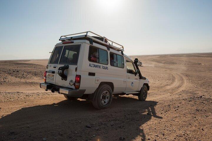 Star Gazing, Jeep Ride, Camel riding & Dinner / Hurghada