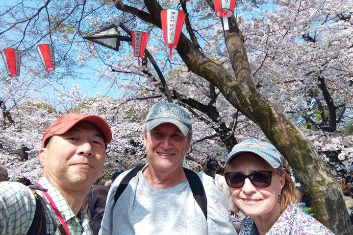 Best of Tokyo Private Tour from Yokohama & Tokyo Ports or Hotels