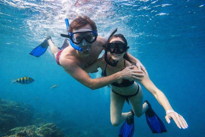 Cabo San Lucas Pelican Rock Tour Adventure