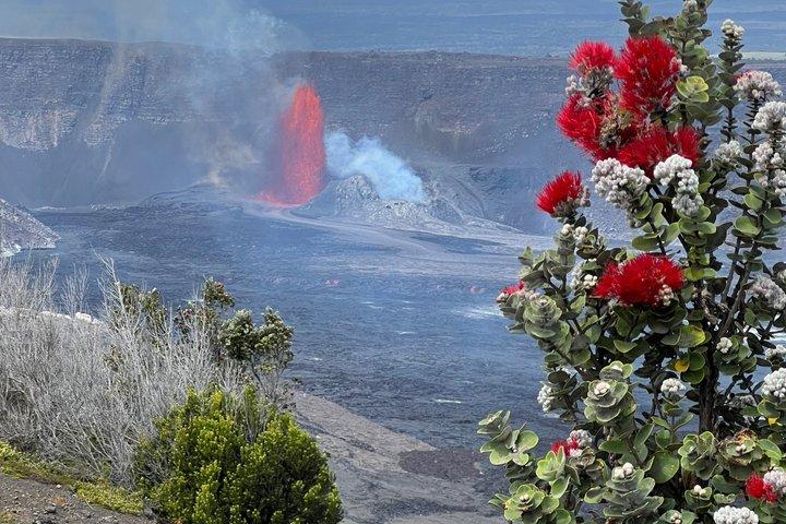 Big Island: Hawaii Volcanoes, Waterfalls and Hilo Adventure