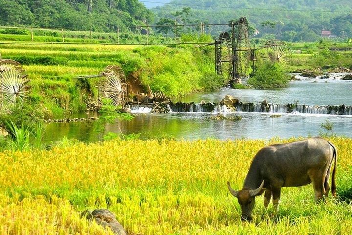 Pu Luong 3D2N Small Group Adventure Tour from Hanoi