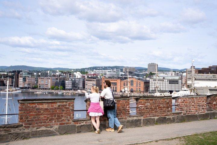 Oslo: Get Private City Tour with Guide & Driver by Luxury Minivan