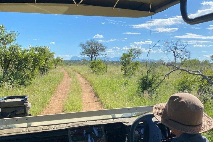 Dar es Salaam: 1-Day Mikumi National Park Safari with Free Pickup