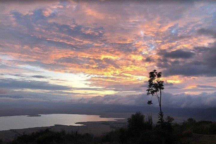 Ngorongoro 5 Day Private Tour with Transportation