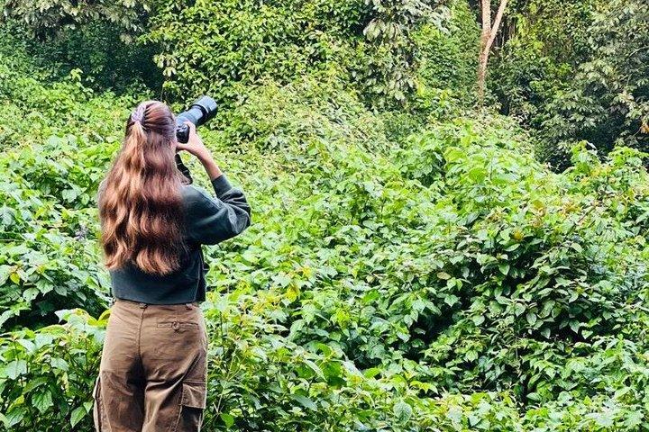 One Day Adventure in Nyungwe Forest, Canopy Walk and Zipline.