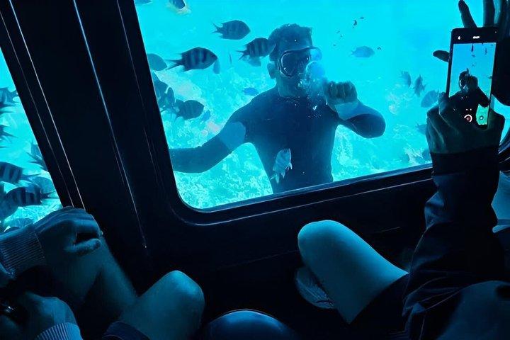 Semi Submarine Tour From Hurghada Makadi Soma Bay El Gouna Safaga