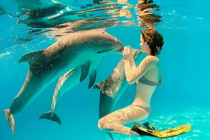 Mnemba Island Snorkeling & Dolphin Watching Tour in Zanzibar