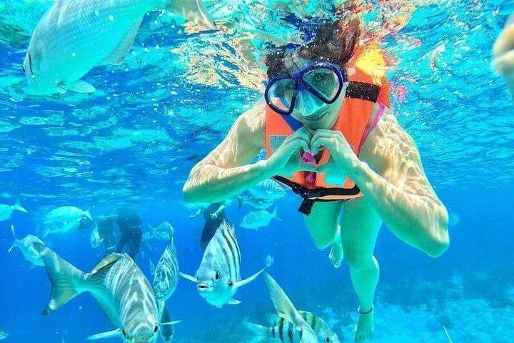 Mnemba Island Snorkeling & Dolphin Watching Tour in Zanzibar