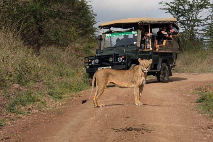 Nairobi: 5-Hour Nairobi National Park Safari Morning and Evening