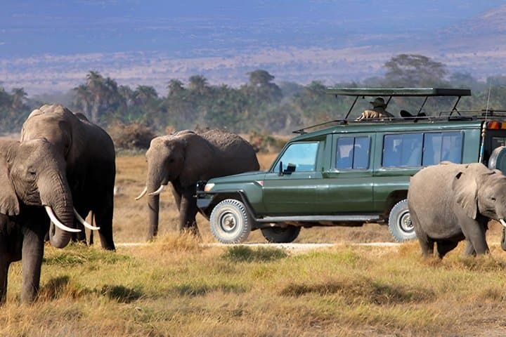 4 Day Lake Naivasha and Masai Mara Wildlife Luxury Safari