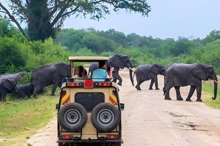 Tanzania 4 Day Northern Parks Safari